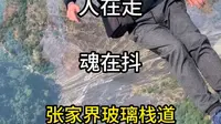 人在走魂在抖张家界天门山玻璃栈道#旅行#旅游#旅游攻略#旅行推荐官旅行大玩家
