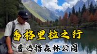 云南香格里拉之行，普达措森林公园之行#旅行 #云南旅行 #香格里拉#普达措森林公园