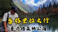 云南香格里拉之行，普达措森林公园之行#旅行 #云南旅行 #香格里拉#普达措森林公园