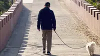 老丁自驾小众路线分享｜浙江象山东门岛。驻车地:浙江宁波象山东门岛休闲公园