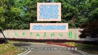 （龙背山森林公园）江苏省无锡市宜兴市游玩景点分享