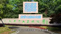 （龙背山森林公园）江苏省无锡市宜兴市游玩景点分享