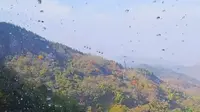 淄博齐山风景区