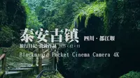 【泰安古镇】 BMPCC 4K 古桥映碧水，老街藏温柔——泰安古镇的治愈之旅【BRAW  柯达2383 Pr调色】