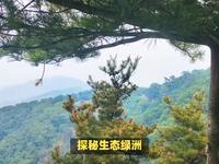 鲁山国家森林公园游玩全攻略