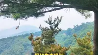 鲁山国家森林公园游玩全攻略