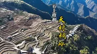 云上政和，天村稠岭