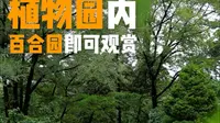坐标沈阳植物园百合园｜蓝香芥+油菜花=一片花海#治愈系风景#氛围感#好看的花分享给好看的你#沈阳赏花好去处
