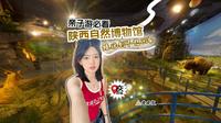 陕西自然博物馆（遛娃必看）