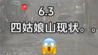 6.3📍四姑娘山双桥沟草甸已经非常绿啦