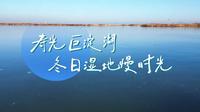 寿光巨淀湖：冬日湿地慢时光
