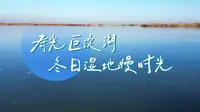 寿光巨淀湖：冬日湿地慢时光
