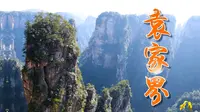 张家界攻略，袁家界是张家界游客最多的地方，因《阿凡达》的悬浮山在这里取景，让袁家界成了很多人打卡的必到之处，这里景色很壮观，还有很多可爱的猴子