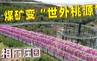 相府庄园：煤矿摇身变“世外桃源”，踏春好去处