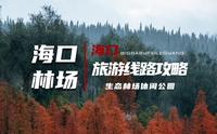 废腿|昆明海口林场冬日徒步攻略|心旷神怡