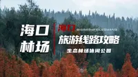 废腿|昆明海口林场冬日徒步攻略|心旷神怡