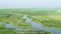 内蒙古恩格贝生态示范区修复治理