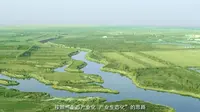 内蒙古恩格贝生态示范区修复治理
