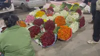 斗南花卉凌晨三点的草花市场
