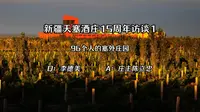 中国酒庄访谈：新疆天塞酒庄96个人的塞外庄园