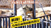 全国独家高山动物区，石家庄动物园能在榜单排第几