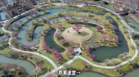 宿迁洪泽湖湿地旅游攻略：平淮既淼淼，晓雾复霏霏
