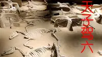 天子驾六——体验一下周天子的威严！
