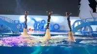 福州永泰欧乐堡海洋世界的白鲸表演，很精彩！