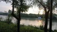 [大旭回家]29757-嘉兴-西南湖生态公园的步行视角（下）