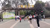 亲子游玩好地方，成都松鼠部落森林假期公园，复工开园，人超多
