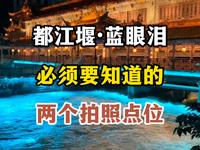 都江堰·蓝眼泪必须要知道的两个拍照点位#都江堰 #旅行推荐官 #旅行 #旅游  #四川