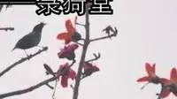 斗门菉猗堂