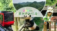 游竹海丨坐地轨丨看熊猫丨品“三黑三白”丨江苏南山竹海吃住玩攻略