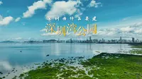 深圳人文城市科普季第一集《深圳为什么要建深圳湾公园？》