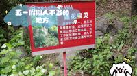 五一假期人不多的地方 十堰 郧阳 九龙瀑 龙生九子 怎么读