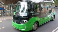 绿野仙踪「pov-86」厦门园林植物园观光游览车上山方向全程前方展望