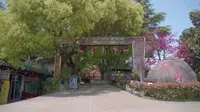 绍兴市虎居动物园（提前一小时购票）单人门票+欢乐广场畅玩+多彩剧场动物表演 门票仅69.9元