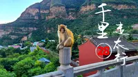 千里走太行(28)济源完：到五龙口风景区，济源告一段落。