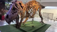 【游记】锦州义县中德古生物博物馆游记