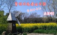 【常州圩墩遗址公园VLOG】赏花好去处，超美公园游玩！