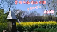 【常州圩墩遗址公园VLOG】赏花好去处，超美公园游玩！