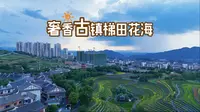 贵州毕节大方县奢香古镇 居民区里的梯田花海
