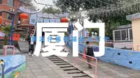 原来厦门的顶澳仔猫街真的有猫