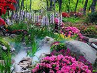 苏州天平山的春天