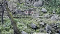 壶天阁