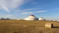 呼和诺尔游