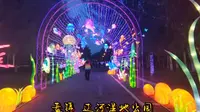 盘锦，辽河湿地公园，不可错过的美