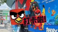 愤怒的小鸟来上海了！长风海洋世界联动怒鸟！