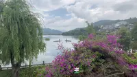 走进腾冲和顺古镇野鸭湖