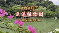 广州云溪植物园开园